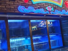 -粤凤佬