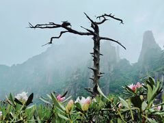 -三清山风景名胜区
