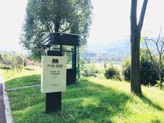 -成都蒲江花样年福朋喜来登度假酒店·宜客乐西餐厅