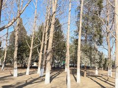 -康庄公园