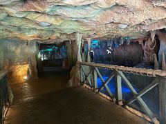 -新加坡水上探险乐园