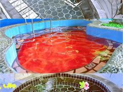 -兴芮温泉度假区