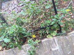 -东方艺术博物馆