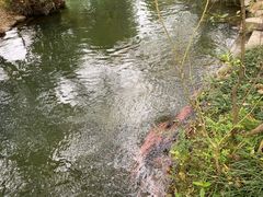 -贵阳市花溪国家城市湿地公园