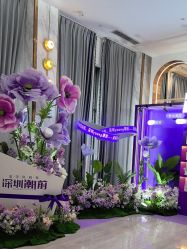 -深圳美莱医疗美容医院