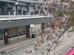 -南浦大桥长途旅游客运站