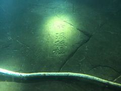 -白鹤梁水下博物馆