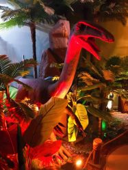 -恐龙探索乐园(磁器口店)