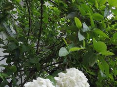 -如家酒店(上海南京路人民广场店)