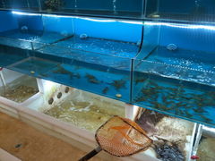 -舒家大院老火锅(台江路店)