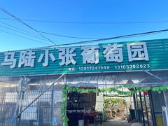 -马陆小张葡萄园农家乐