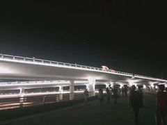 -演武大桥观景平台