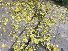 -杭州海华满陇度假酒店