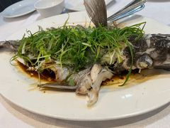 -Sun World Chinese Restaurant 新世界海鲜酒家