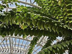 -郑州植物园