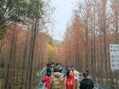-福道