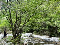-孤山寨风景区