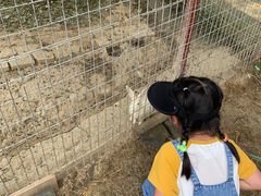 -嬉乐湾休闲旅游区