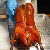 春节不打烊🏮大杨浦这家店救了我‼️