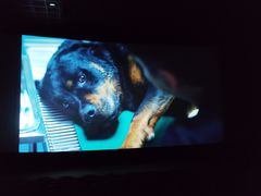 -美嘉欢乐影城(万象城店)