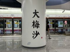 -大梅沙海滨公园