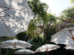 -Fern Forest Cafe