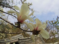 -潭柘寺景区