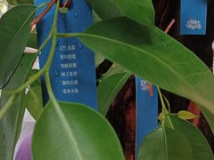 -三联韬奋书店(宽窄巷子店)