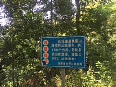 -海南热带雨林国家公园吊罗山景区