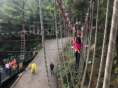 -梦幻奥陶纪景区