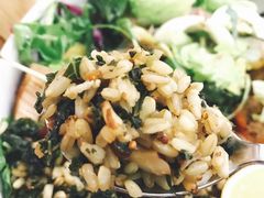 藜麦三文鱼饭-Green Option(官舍店)