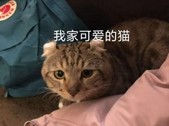 -锅爷爷重庆老火锅(临平店)
