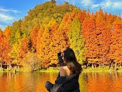 -贵阳市花溪国家城市湿地公园