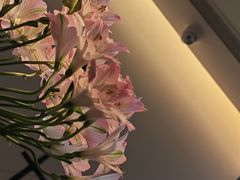-苏州洲际酒店·大堂酒廊