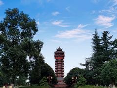 -塔子山公园
