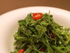 -春晖园度假酒店温泉