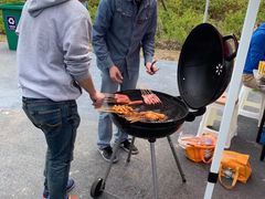 -春花秋色城市公园