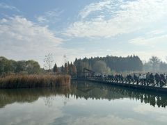 -溱湖国家湿地公园