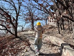 -北京十三陵国家森林公园蟒山景区