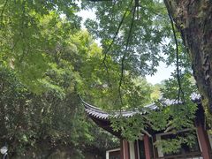 -十八棵（老龙井）御茶园(老龙井店)