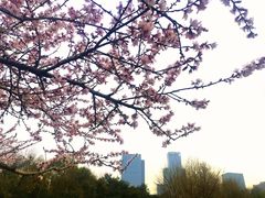 -白塘生态植物园