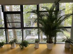 -艾儿思国际幼托园(双井园店)