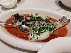 -上海宝华喜来登酒店·采悦轩中餐厅