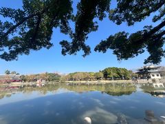 -江心屿景区