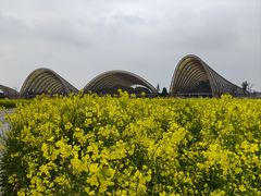 -中国天府农业博览园