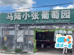 -马陆小张葡萄园农家乐