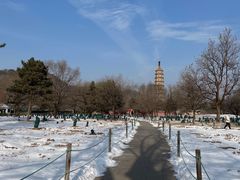 -承德避暑山庄景区