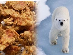 -旺角小渔村(幸福中路店)