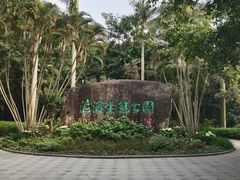 -福田红树林生态公园