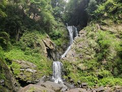-石台牯牛降景区